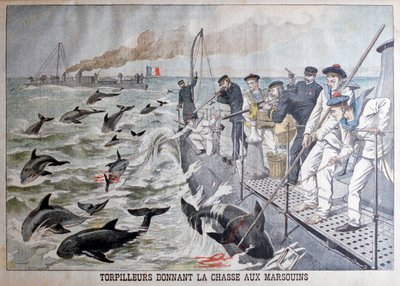 Französische Torpedoboote jagen Schweinswale, 1903 von Unbekannt
