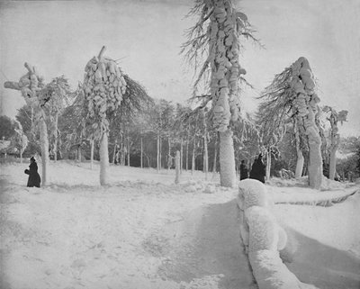Frostarbeit im Prospect Park, Niagara, ca. 1897 von Unbekannt