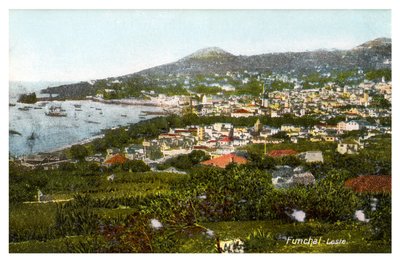 Funchal, Madeira, Anfang des 20. Jahrhunderts von Unbekannt