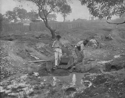 Goldgräberei in Australien von Unbekannt