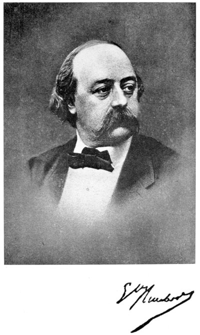 Gustave Flaubert, französischer Romanautor, 19. Jahrhundert von Unbekannt