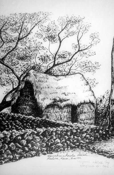 Heiau, Kailua-Kona, Hawaii, 19. Jahrhundert von Unbekannt