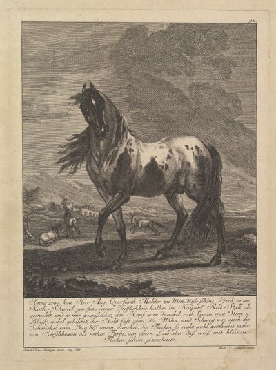 Pferd von Unbekannt
