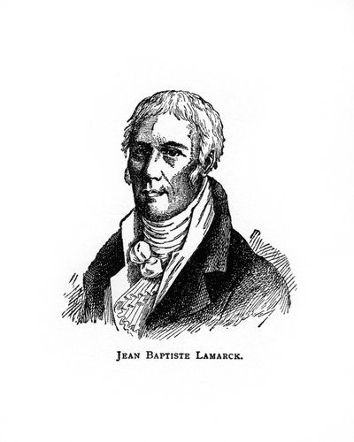 Jean-Baptiste Lamarck, französischer Naturforscher, 20. Jahrhundert von Unbekannt