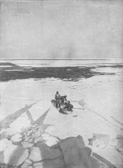 Robbenjagd, 1911, 1928 von Unbekannt