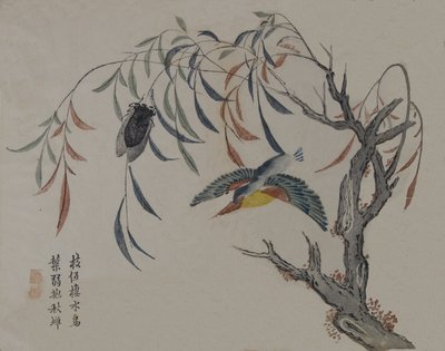 Eisvogel, Zikade und Weidenbaum, 19. Jahrhundert von Unbekannt