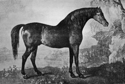 Marske, 1750-1779, 1911 von Unbekannt