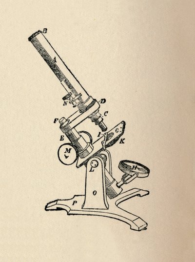 Mikroskop, 1912 von Unbekannt