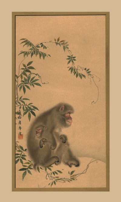 Affe, 19. Jahrhundert, 1886 von Unbekannt