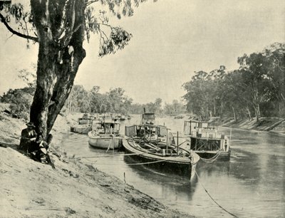 Murray Lastkähne und Dampfschiffe in Echuca, 1901 von Unbekannt