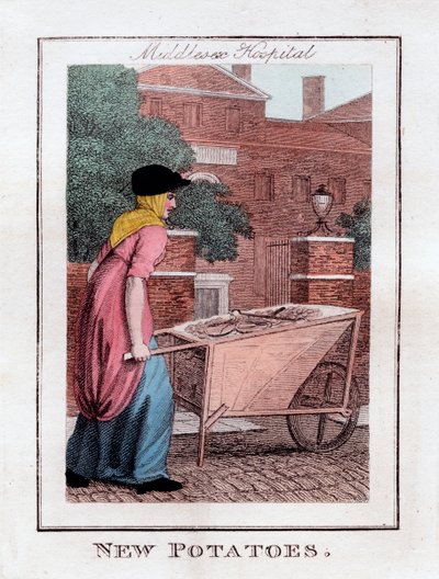 Neue Kartoffeln, Middlesex Hospital, London, 1805 von Unbekannt