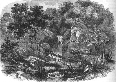 Neuseeländische Landschaft, ca. 1880 von Unbekannt