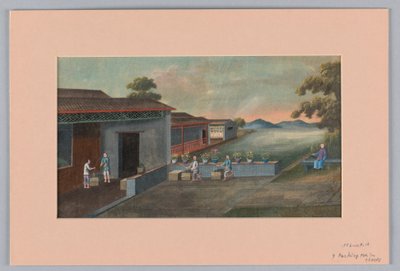Verpackung von Tee in Kisten, 1890–1910 von Unbekannt