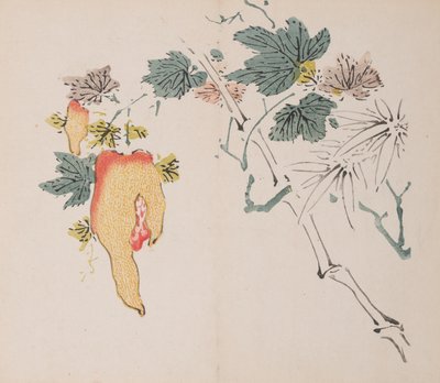 Seite aus Shi Zhu Zhai von Unbekannt