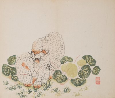 Seite aus Shi Zhu Zhai von Unbekannt