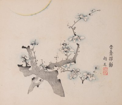 Seite aus Shi Zhu Zhai von Unbekannt