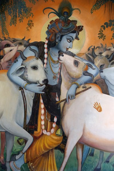 Gemälde des hinduistischen Gottes Krishna, der Kühe umarmt, Indien von Unbekannt