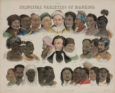 Physiognomie 