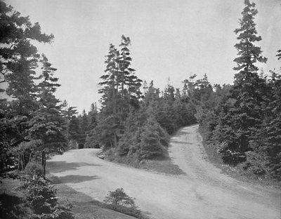Point Pleasant Park, Halifax, Nova Scotia, um 1897 von Unbekannt