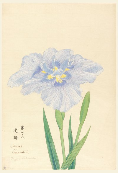 Druck, Tanz des Tigers (Tora-Odori), Nr. 48 von Unbekannt