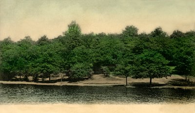 Queensmere, Wimbledon Common, London, 1903 von Unbekannt