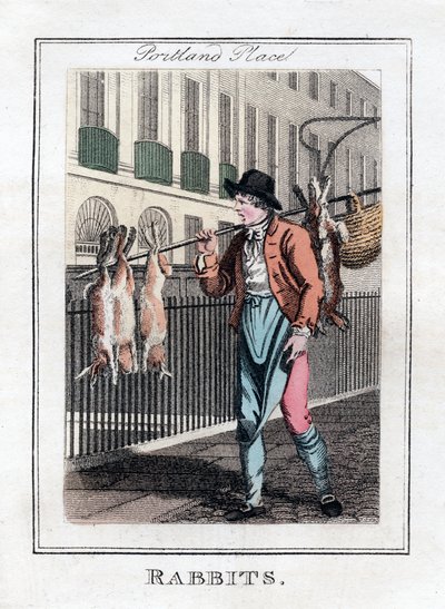 Kaninchen, Portland Place, London, 1805 von Unbekannt