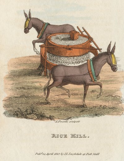 Reismühle, 1813 von Unbekannt