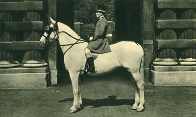 Königlicher Vorreiter in scharlachroter Livree, 1950er Jahre von Unbekannt