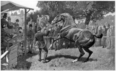 Verkauf von Jägern, Einwand erheben, 1885 von Unbekannt