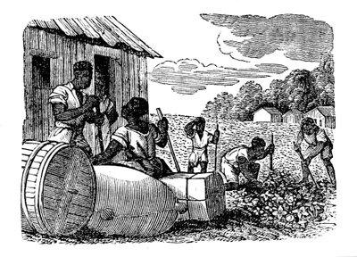 Sklavenarbeit auf einer Tabakplantage, 1833 von Unbekannt