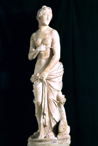 Statue der keuschen Venus, aus Karthago von Unbekannt