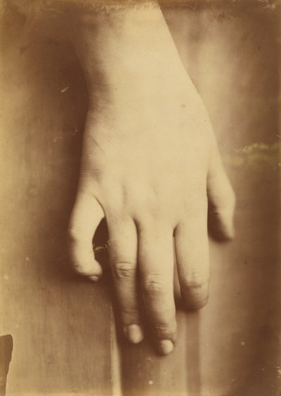 Studie einer Hand von Unbekannt