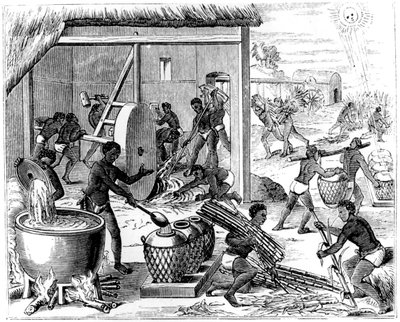 Zuckerproduktion, 1873 von Unbekannt