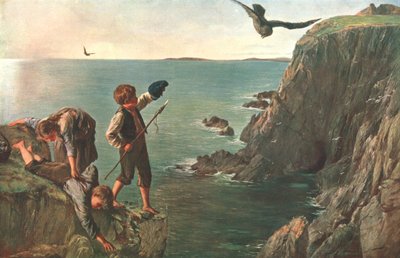 Der Bonxie, Shetland von Unbekannt