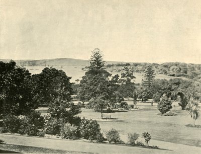 Die Botanischen Gärten von Sydney, 1901 von Unbekannt