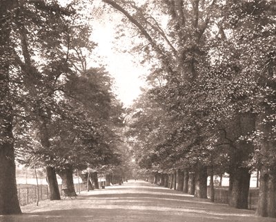 The Broad Walk, Oxford, 1894 von Unbekannt