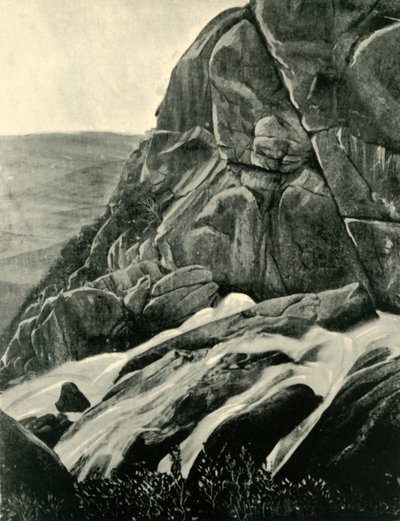 Die Buffalo-Fälle, 1901 von Unbekannt