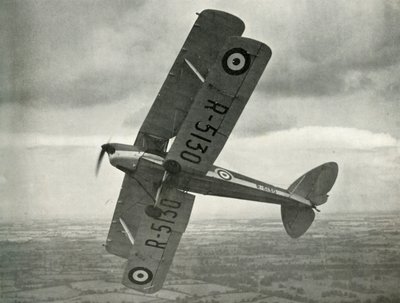 Die De Havilland Tiger Moth, 1941 von Unbekannt