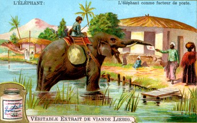 Der Elefant als Postbote, ca. 1900 von Unbekannt