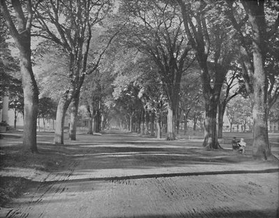 The Elms, New Haven, Conn., ca. 1897 von Unbekannt