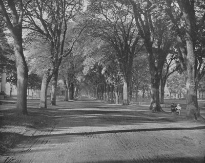 The Elms, New Haven, Connecticut, USA, um 1900 von Unbekannt