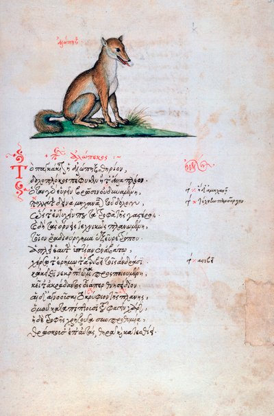 Der Fuchs, 1564 von Unbekannt