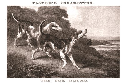 Der Foxhound von Unbekannt