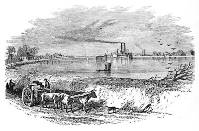 Der Empfang, 1883 von Unbekannt