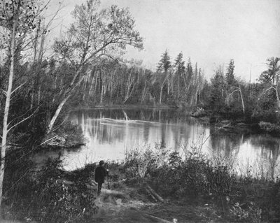 Der Peshtigo-Fluss, Wisconsin, USA, um 1900 von Unbekannt