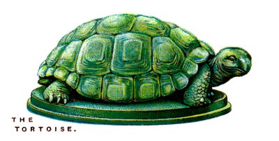 Die Schildkröte, 1923 von Unbekannt