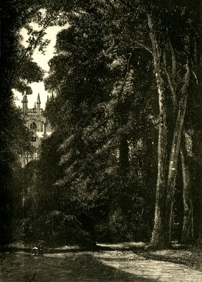 Der Turm von Merton, vom Garten aus, 1898 von Unbekannt