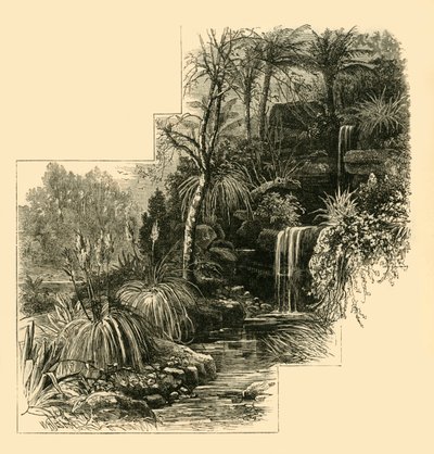 Die Tropischen Gärten, Battersea Park, ca. 1878 von Unbekannt