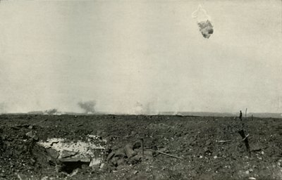 Der Wollbär, 1919 von Unbekannt