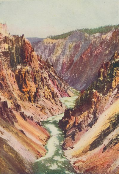 Der Yellowstone River, 1916 von Unbekannt